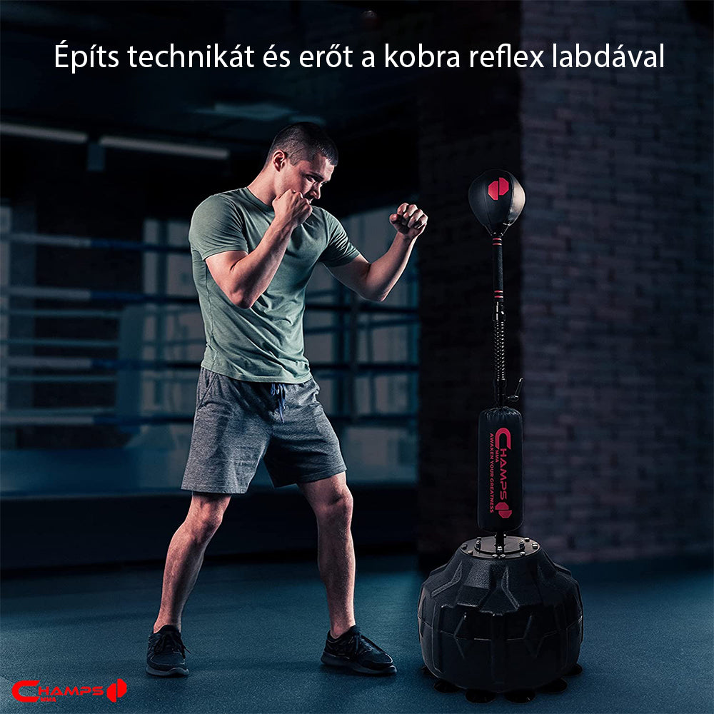 Dollcini Otthon Reflexlabda Boxzsák – Stresszoldó, Multifunkciós