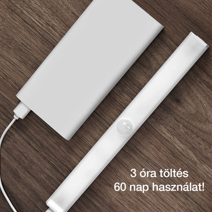 Dollcini, Intelligens LED lámpa mozgásérzékelővel és USB-töltéssel, hordozható, 21 cm, hideg fényű, Több változat